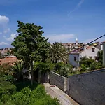 Lina Cipollina