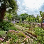 Lägenhet Lina Cipollina Mali Lošinj