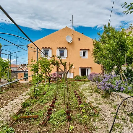Lina Cipollina * Mali Lošinj