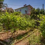Apartamento Lina Cipollina *