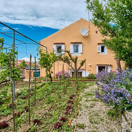 Lina Cipollina Apartment