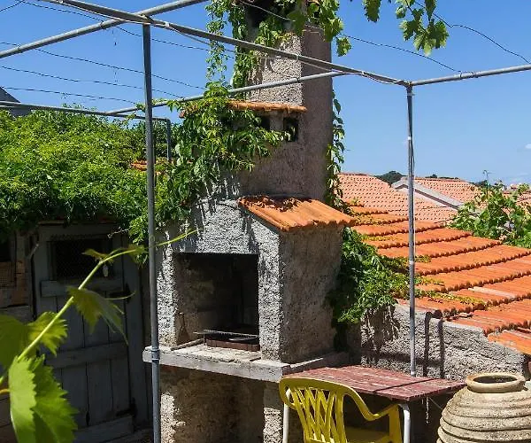Lina Cipollina * Mali Lošinj
