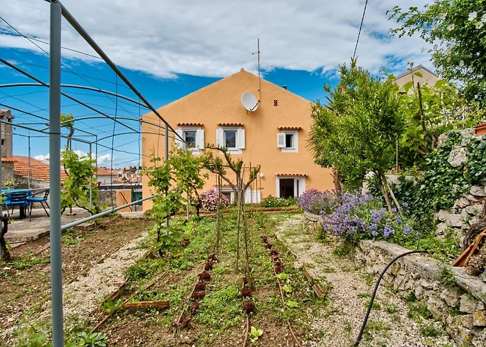 Lina Cipollina * Mali Lošinj